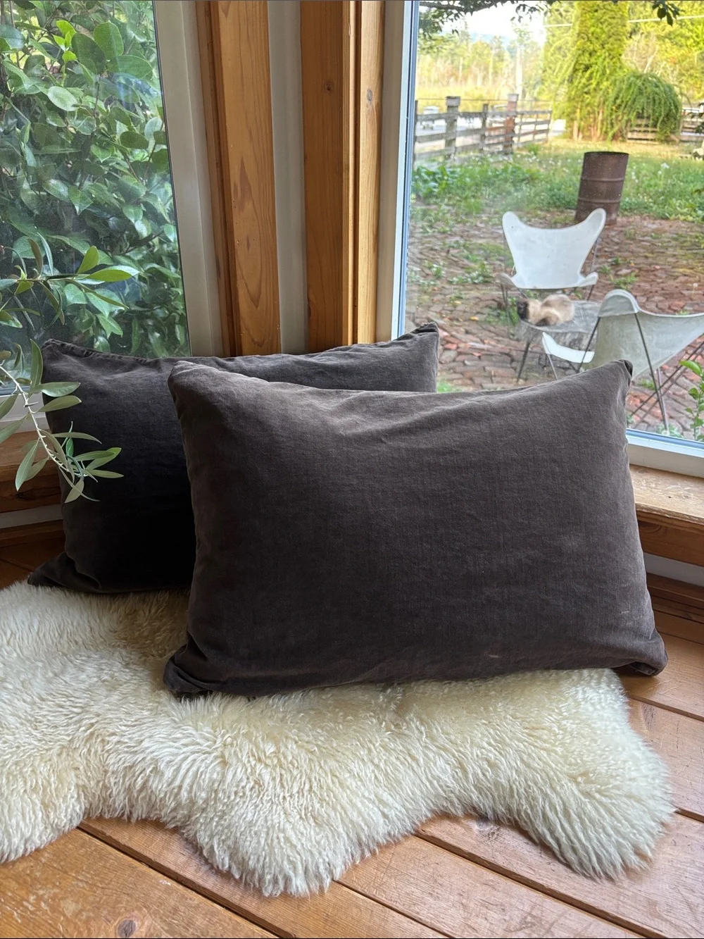 2 Velvet Throw Pillows